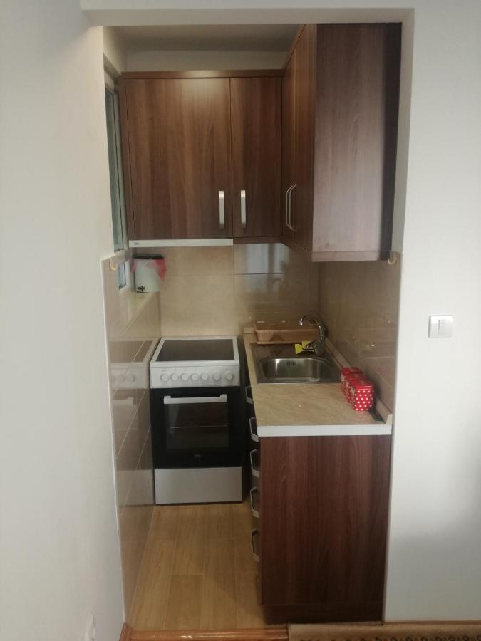 Apartmán Stan Na Dan Pex Free Parking Vranje Exteriér fotografie