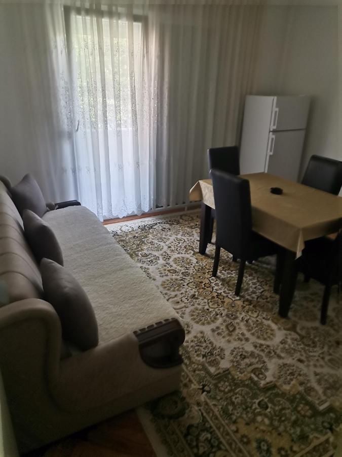Apartmán Stan Na Dan Pex Free Parking Vranje Exteriér fotografie